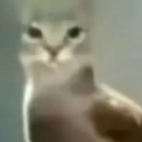 gato6 custom emote from Mundo dos Animes - Br