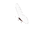 white animated Discord emote from Lemniscate Network