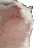 CatVibe animated Discord emote from ChillResort🌴 ‘ social ‘ gws ‘ vcs ‘ nitro 🍹