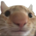 SwagSweg custom emote - ATGs (All The Gamers)