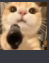 A ginger cat holding a black handgun pointed directly at the camera.
