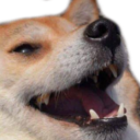 dogekek Discord Emoji - The Leppoverse 🌐