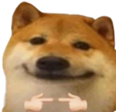 9081dogeshy custom emote from Madras Gaming Society