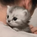 SadXilo Discord Emoji from 𝗖𝘂𝗱𝗱𝗹𝘆 𝗖𝗿𝗶𝘁𝘁𝗲𝗿𝘀