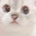 catsideye custom emote | Niveous Gaming