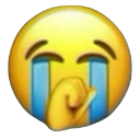 sobbing custom emote - FriendZone | Make Friends & Chat ⋅ Active Social Fun ⋅ Chill ⋅ VC
