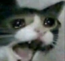 s18 custom emote from 𝕊ℙ𝔸ℂ𝔼