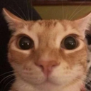 glungus custom emote from Heart.exe