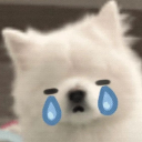 CryingDog custom emote | ✨КиберЛапки🎮