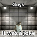joking custom emote from 𓆣 Syf's Place 𓆣