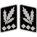 SSOberstGruppenfhrer_collar_rank custom emote | Macuspana Empire