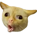 kittycough Discord Emoji - girls.exe (18+)