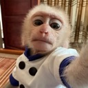 emoji_4 Discord sticker - 𝙈𝙆丨النهاية   مـنـتـدى الـمـمـلـكـة