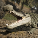 Crocodile wearing black sunglasses with its mouth wide open in a grin.