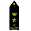 Military rank insignia featuring a crown, star, and crossed swords on a black background.