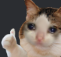 agreedsadly Discord Emoji - SOFA | Social・Art・Fun・AI-Bots・Gaming・Anime・Giveaways