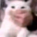 SuffocationCat custom emote - 𓆣 Syf's Place 𓆣