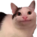 1_ Discord Emoji - 🦄🌸Gatos Cósmicos🌸🦄