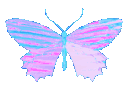 cnc_sierra_kelebek animated Discord emote - CNC Club 18+