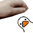petducky animated Discord emote from Wolfs Server