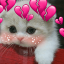 un_blush custom emote | Lovers Cafe™ | Indian Discord Server • Nitro • Voice Chat • Active • India • Hangout • Gaming • SFW