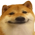 60797shiba custom emote from FancyMan Academy ™