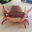 cowboyfrog custom emote from 𝓣𝓱𝓮 𝓛𝓞𝓤𝓝𝓖𝓔