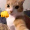 howhat custom emote | Aja’s domain !