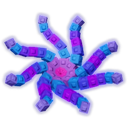 Octobloom creature with rotating neon blue and purple block tentacles on a black background.