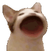 HyperPopper animated emote from Besties Community