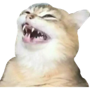 3_ custom emote from 🦄🌸Gatos Cósmicos🌸🦄