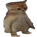 8426cat custom emote | Ptero.pro - Free AI Chat For Developers