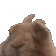 VIBE animated Discord emote - No-Sell Jobbers🤼
