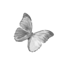010_greybutterfly Discord Emoji from truly ᯓ✩ friends ㆍ giveaways ㆍ tags ㆍ chill ㆍ vc ㆍ hangout ㆍ social ㆍ cute ㆍ emotes ㆍ active ㆍ chat