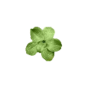 emoji_123 Discord Emoji - Four Craft