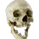 emoji_23 custom emote | ℙ𝕆ℤ𝔸 𝕂𝕆ℕ𝕋ℝ𝕆𝕃𝔸̨