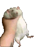 ratgrab animated GIF emoji - Cyberpunk Syndicate ☁୨ৎ