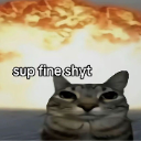 A cat with a blank expression looking forward with a massive fire explosion in the background.