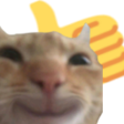 sclThumbsUpCat Discord sticker - ୨ Caféx ୧／Social  ﹒ International ﹒Nitro﹒pfps﹒Fun (Masti)