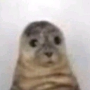 nervousseal custom emote | Goober N' Chill 🐌