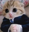 Business Discord Emoji - Real Eyes Realize Real Lies