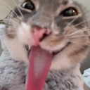 emoji_22 custom emote | 𝐻𝒶𝓁𝒸𝓎𝑜𝓃𝓎