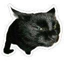 emoji_17 Discord sticker from ✧･ﾟ: ✧ 𝑺𝒕𝒂𝒓𝑬𝒏𝒕𝒆𝒓𝒏𝒂𝒍 ✧ :･ﾟ✧