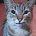 catsmirk custom emote | Goober N' Chill 🐌
