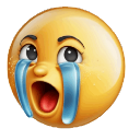 crying Discord sticker from 𝕸𝖆𝖕𝖕𝖎𝖓𝖌 𝕶𝖎𝖓𝖌𝖉𝖔𝖒