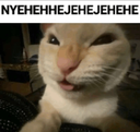 evilcat custom emote | Heart.exe