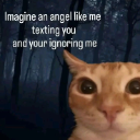 angel custom emote from 𓆣 Syf's Place 𓆣