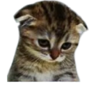 emoji_43 Discord Emoji | MikuVerse | A Free Chat Community