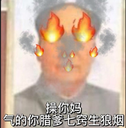 mao Discord Emoji | 冲浪TV