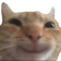 cathappy_club Discord Emoji - ♡ Dhadkan || Chill・Social・Dating・Hindi・Fun・Active・VC